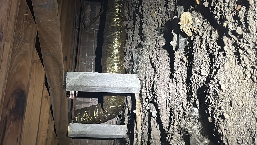 Breaching/bridging of termite barriers found, recorded during a building and pest inspection in Craigieburn