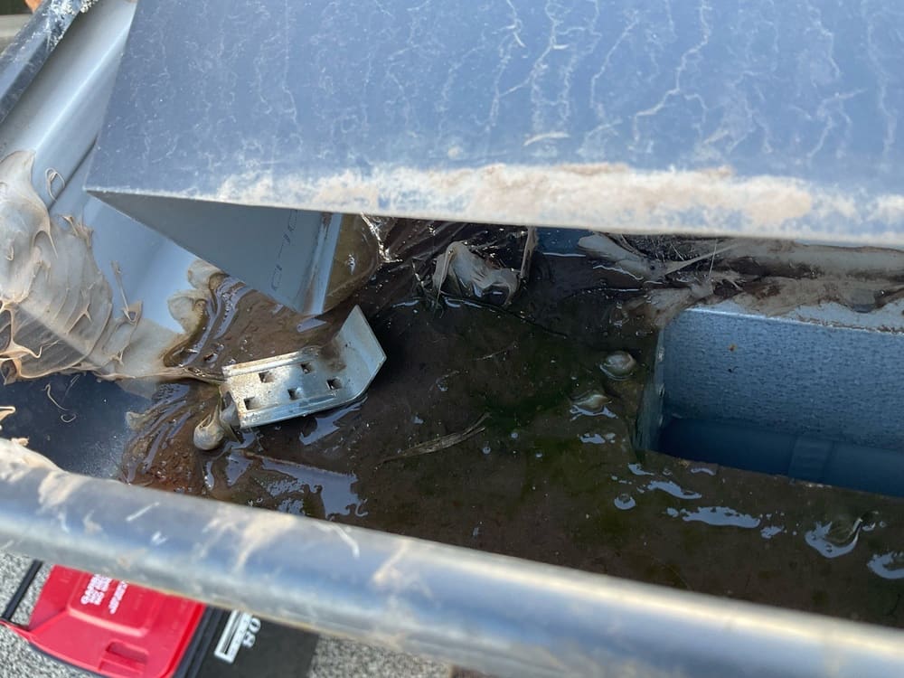 Remove debris, recorded during a pre-purchase inspection in Truganina