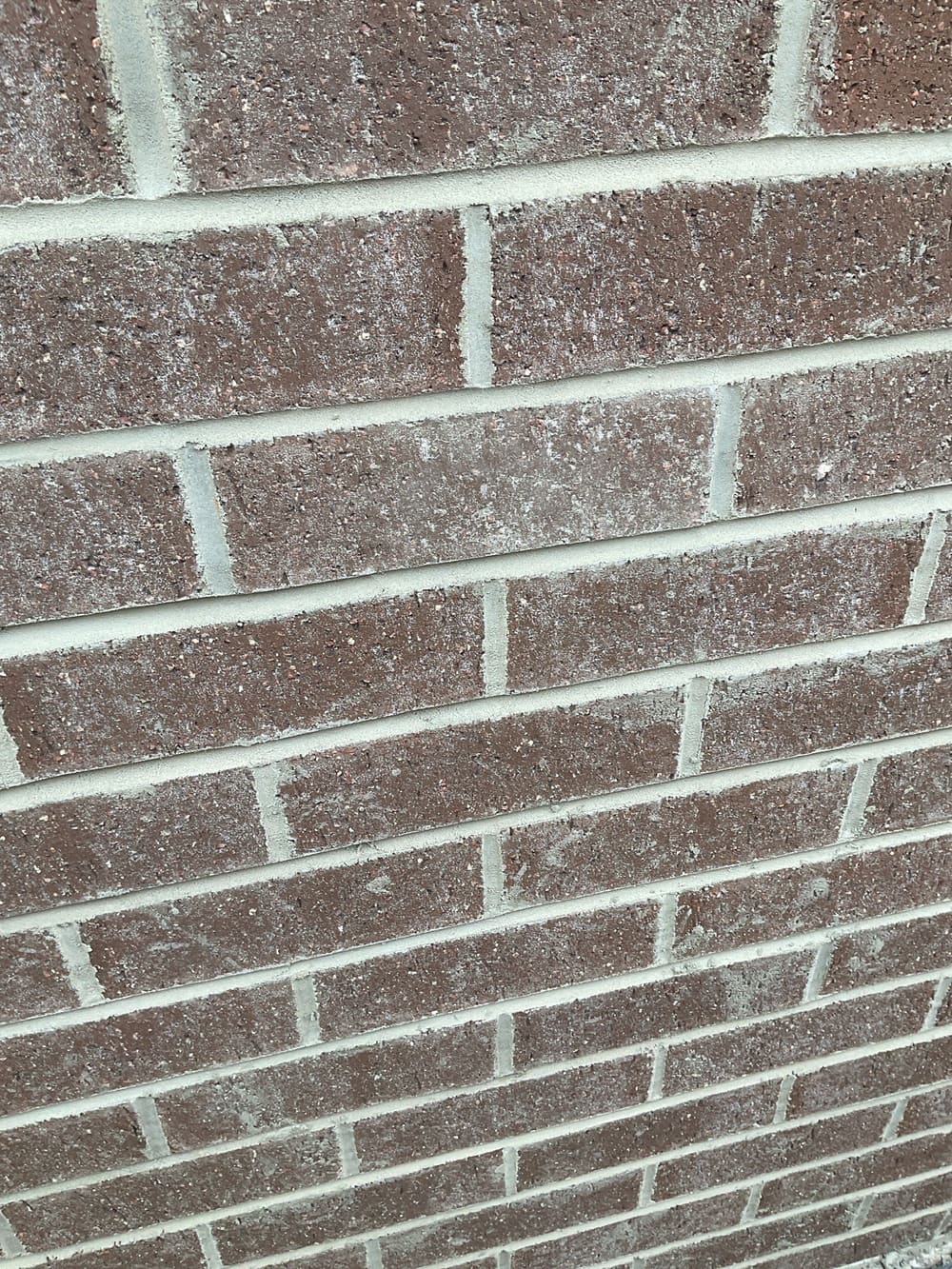 Yet to be washed, recorded during a lock-up inspection in Aintree